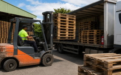 Collecte de palettes à La Réunion : optimisez votre logistique avec EcoPAL Solutions